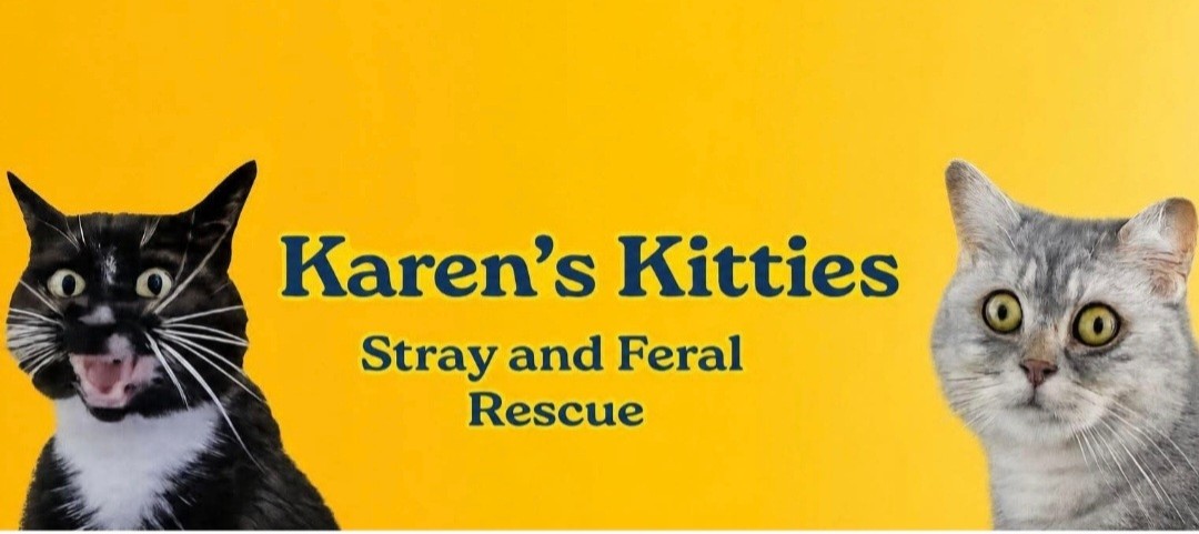 Karen's Kitties Logo